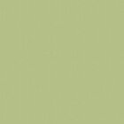 Натали ВО, салатовый 27